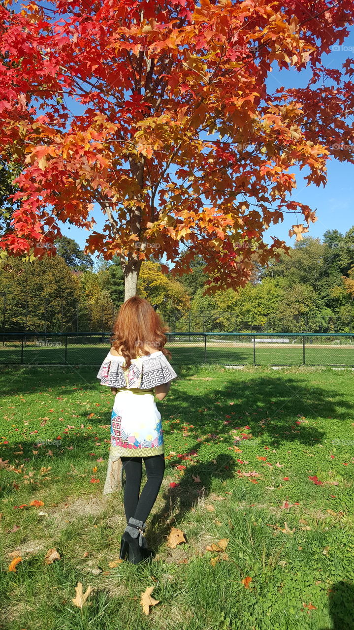 Autumn in New York City. 🍁🍂🍁🍂🍂