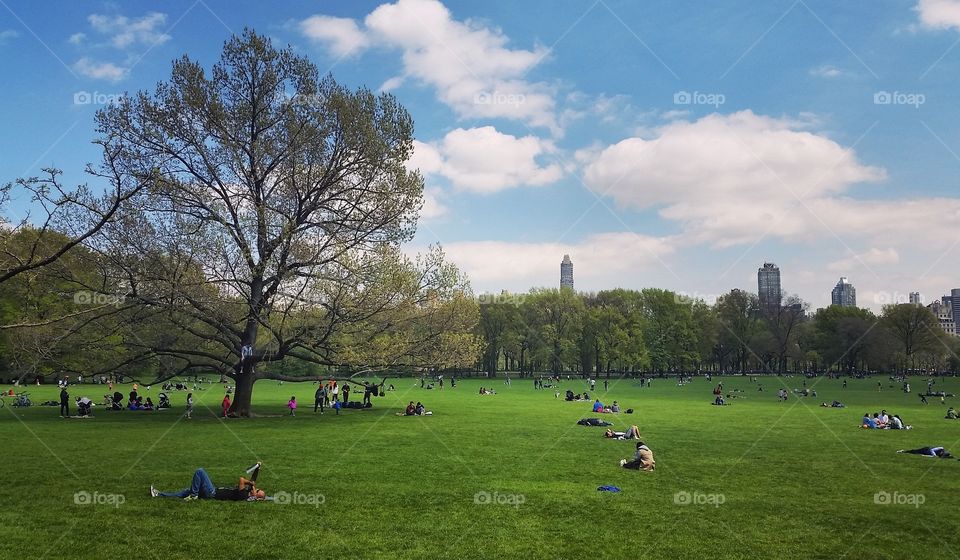 Spring day in the Central Park