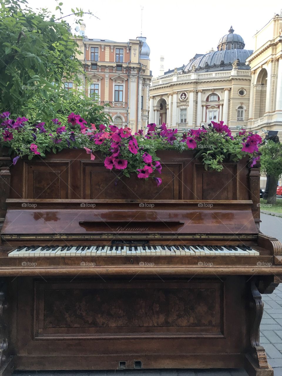 The old part of Odessa city. Odessa Opera house view. The old piano with summer flowers on it. Odessa. The 26th of May, 2019, evening. 