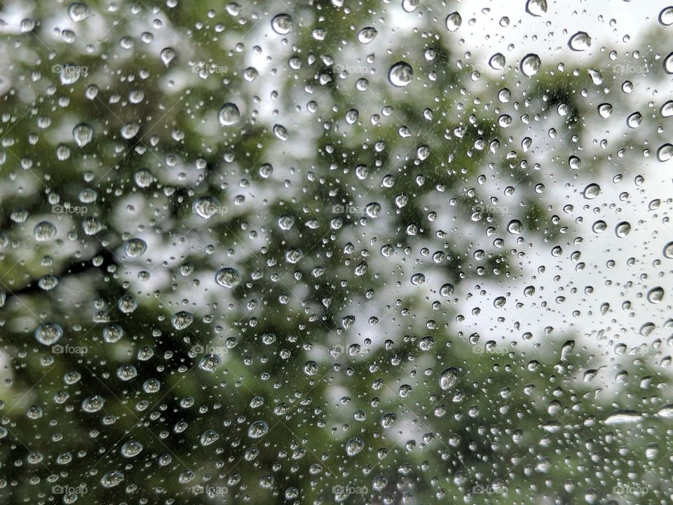 raindrops on Glass