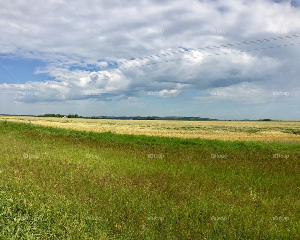 Brandon Manitoba prairie 