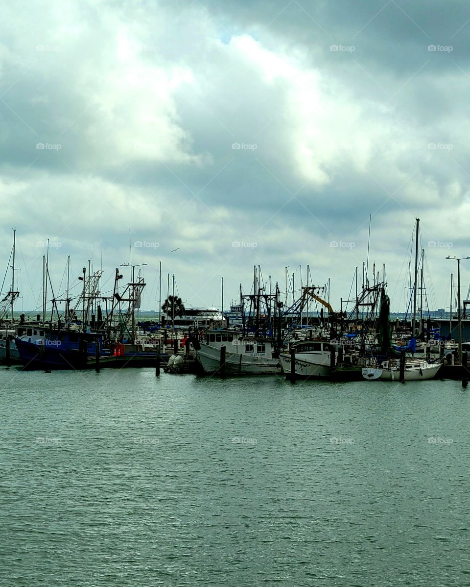 Corpus Christi marina