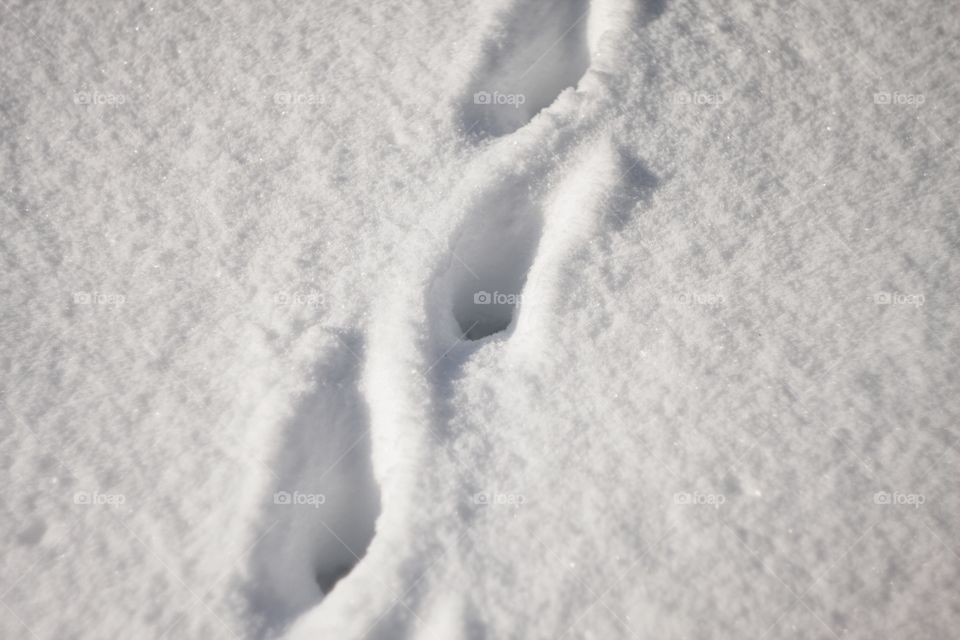 footprints in white snow