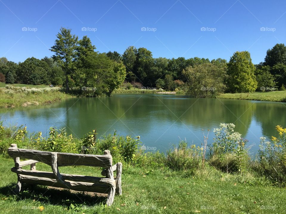 Nature bench looking on pond botanical garden 