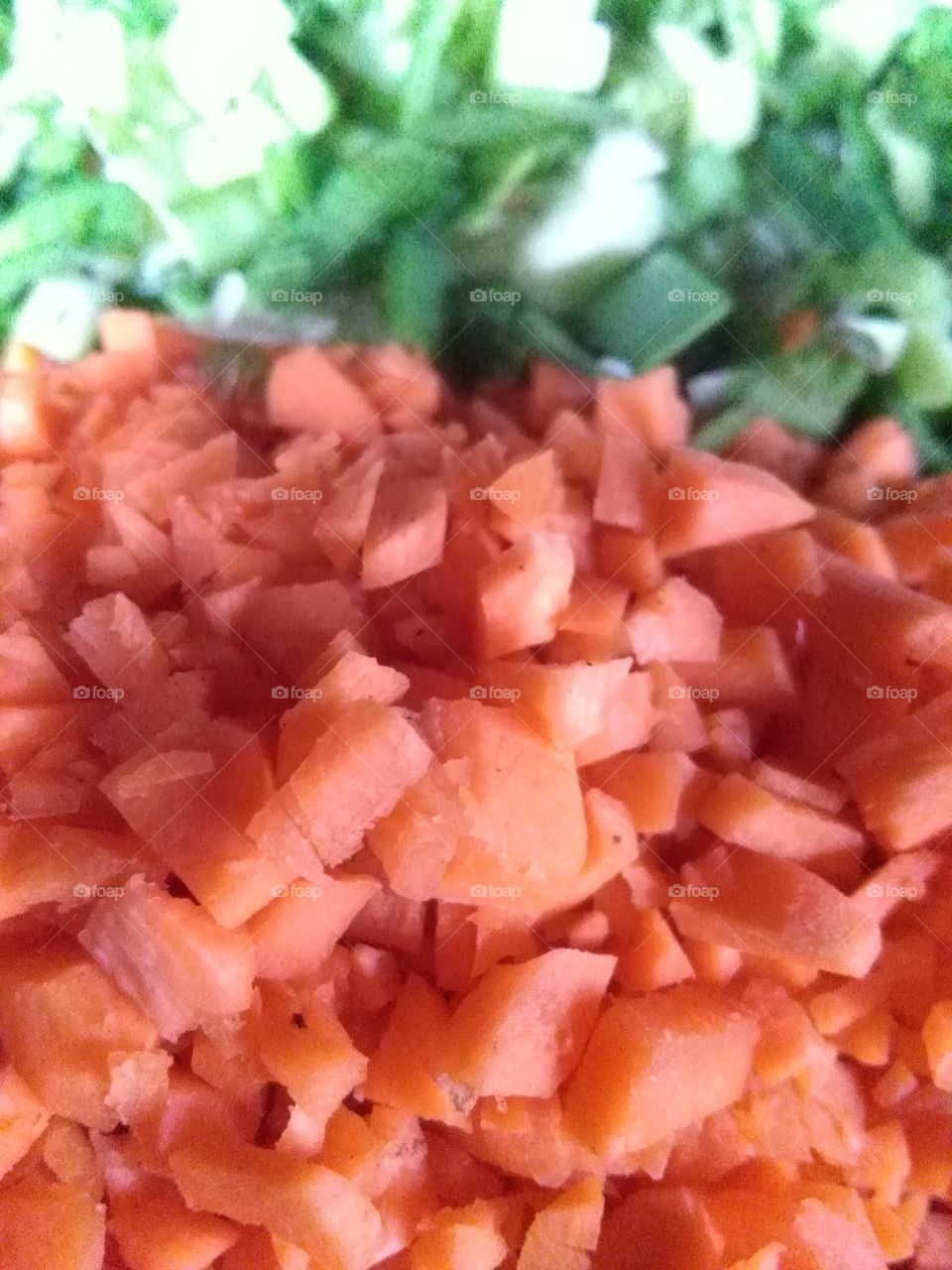 Carrots and leeks