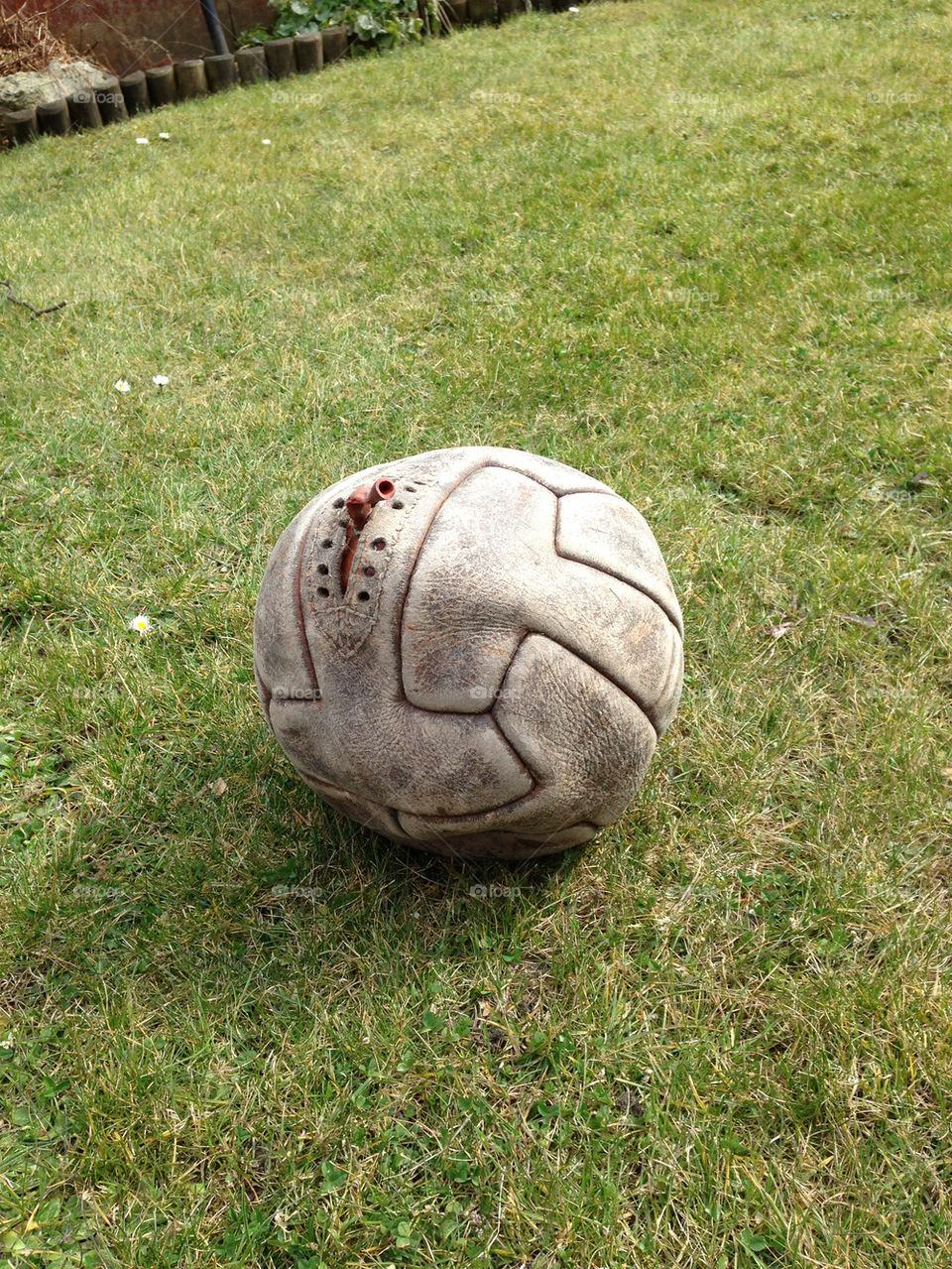 Ball, Grass, Football, Soccer, Game