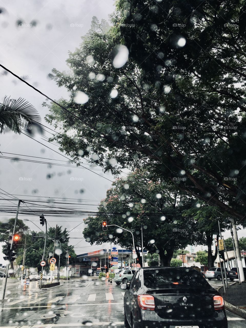 And the rain falls in Jundiaí ...
 It rains, it rains, it rains and it rains ...
 Will it be like this all day?
📸E a chuva cai em Jundiaí...
Chove, chove, chove e chove...
Vai ser o dia inteiro assim?
📸