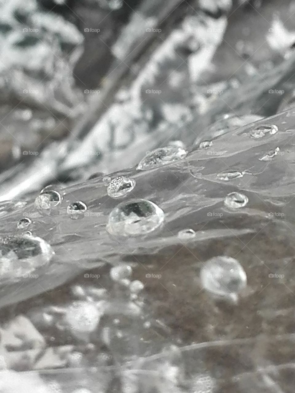 Raindrops on a sheet