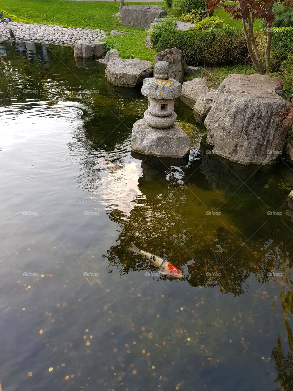 Japanese Park in holland park