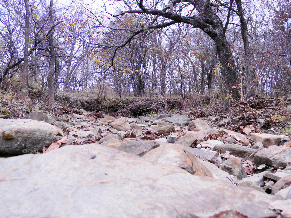 Rocky creek bed in fall