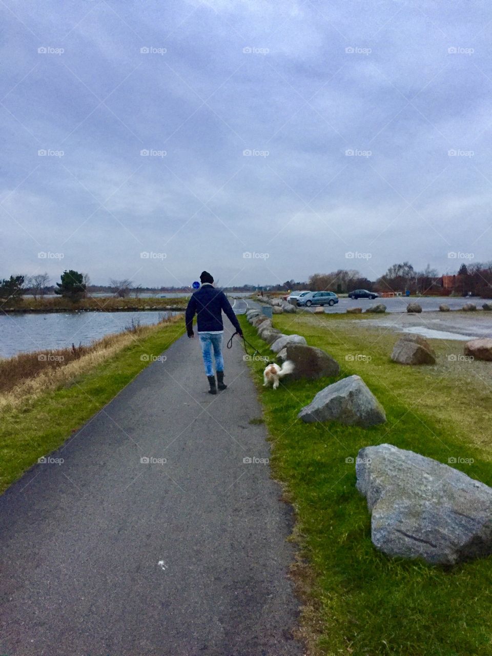 Walking  the dog in december - in Denmark 