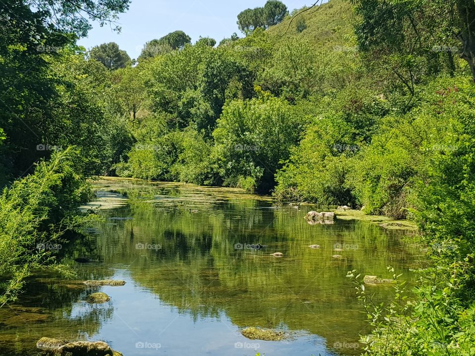 lake,summer, in the nature 😉😉😉😉😉😉😉😉🌞🌞