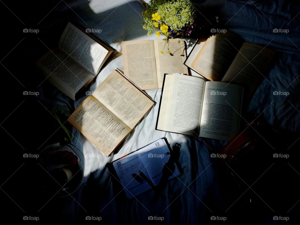 spread out books and falling light from the window.