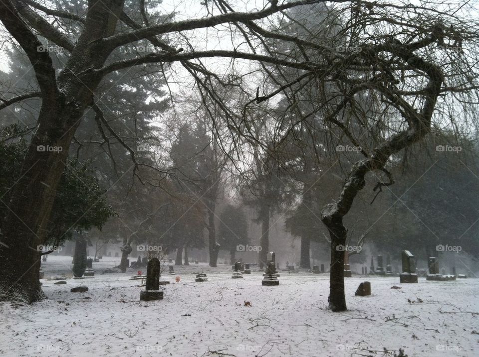 Cemetery in snow