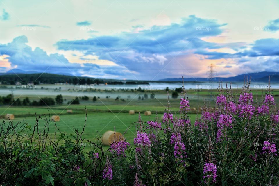 Low level fog on sunrise, Scotland