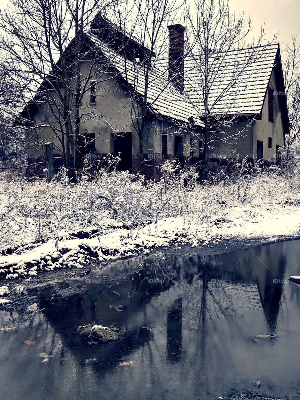 Abounded House