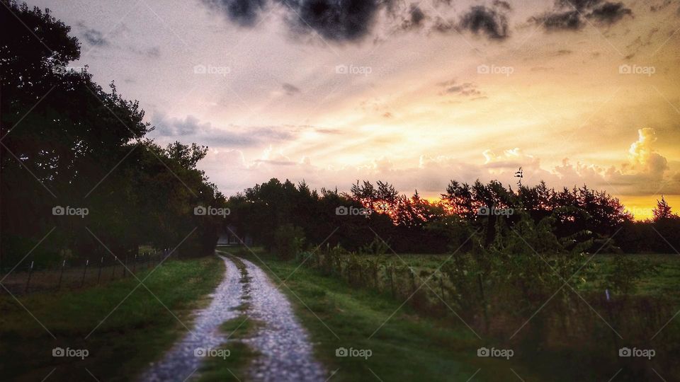 Sunset on a Countryside Rock Road with rays of sun trees and grass on a beautiful summer evening