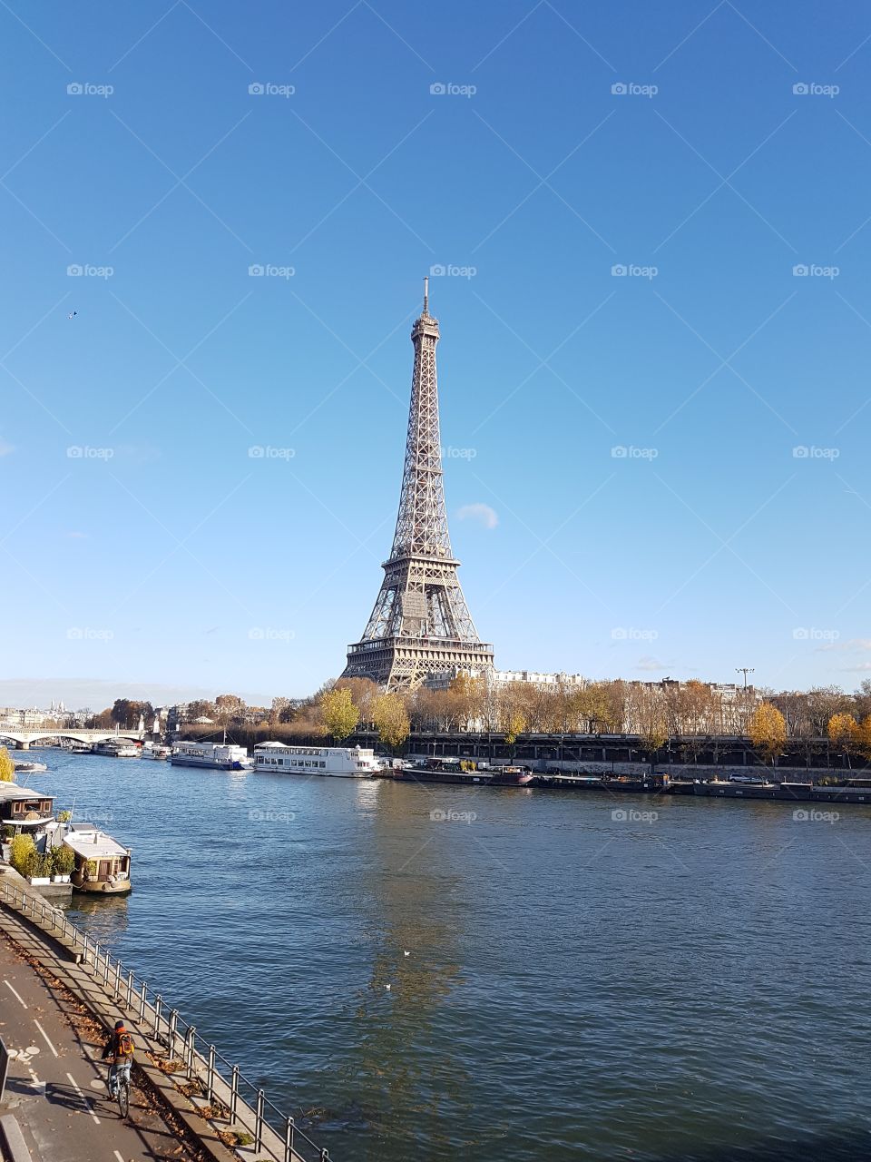 Eiffel Tower and River Seine