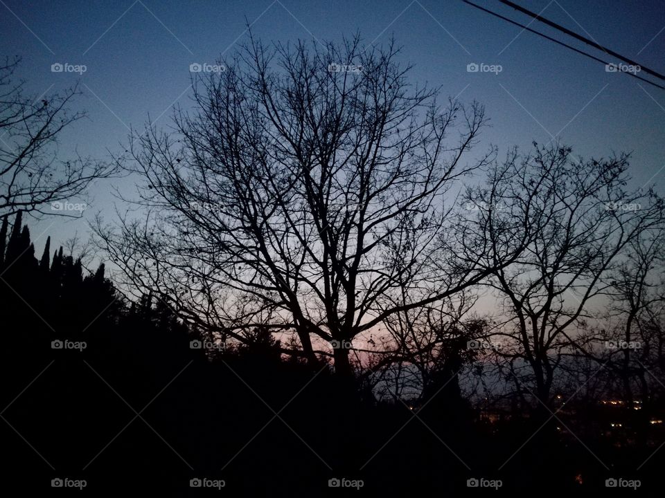 Sunset. Magic  full moon evening