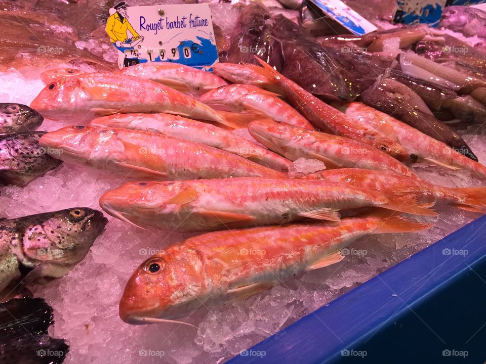 Red Snapper fish at market in Paris France.