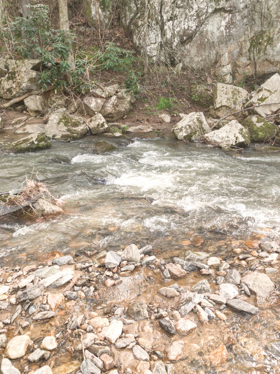Water, Nature, River, Rock, Stream