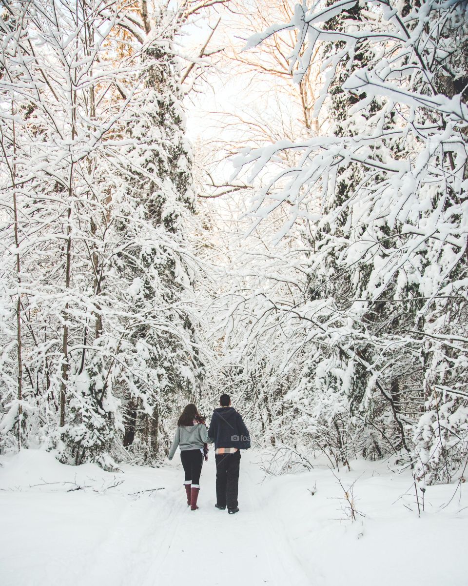 A couple walking through a massive forest of large pines and soft snow