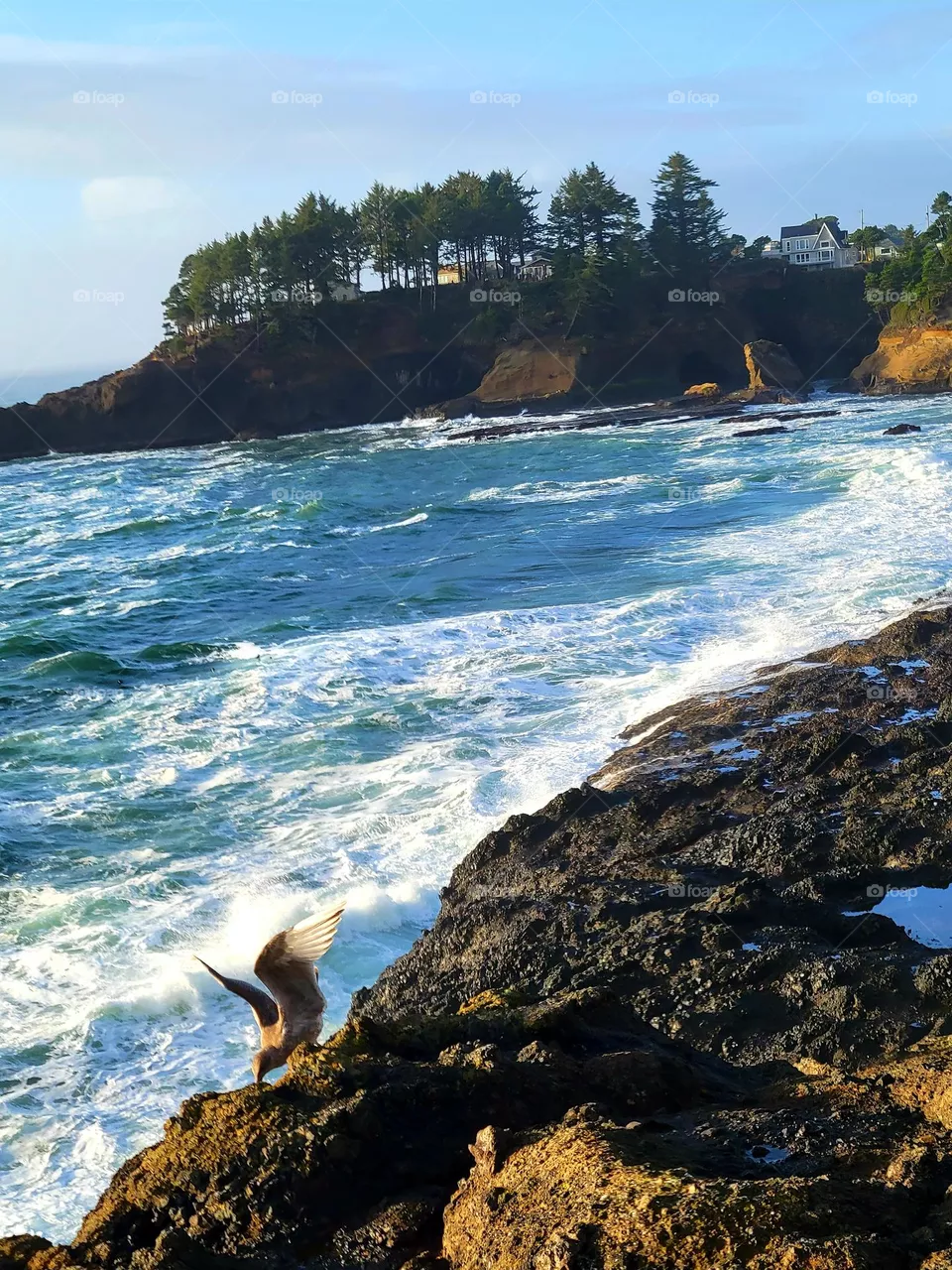 Depoe Bay Oregon coast is a magical place.
