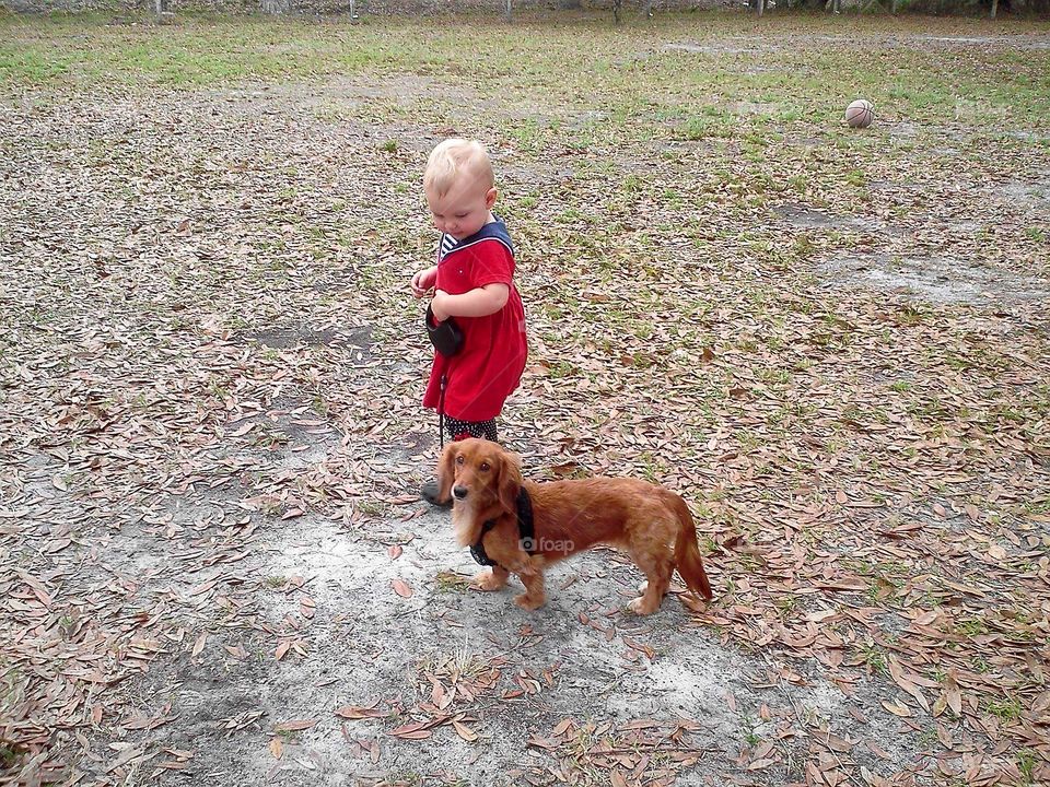 taking the dog for a walk