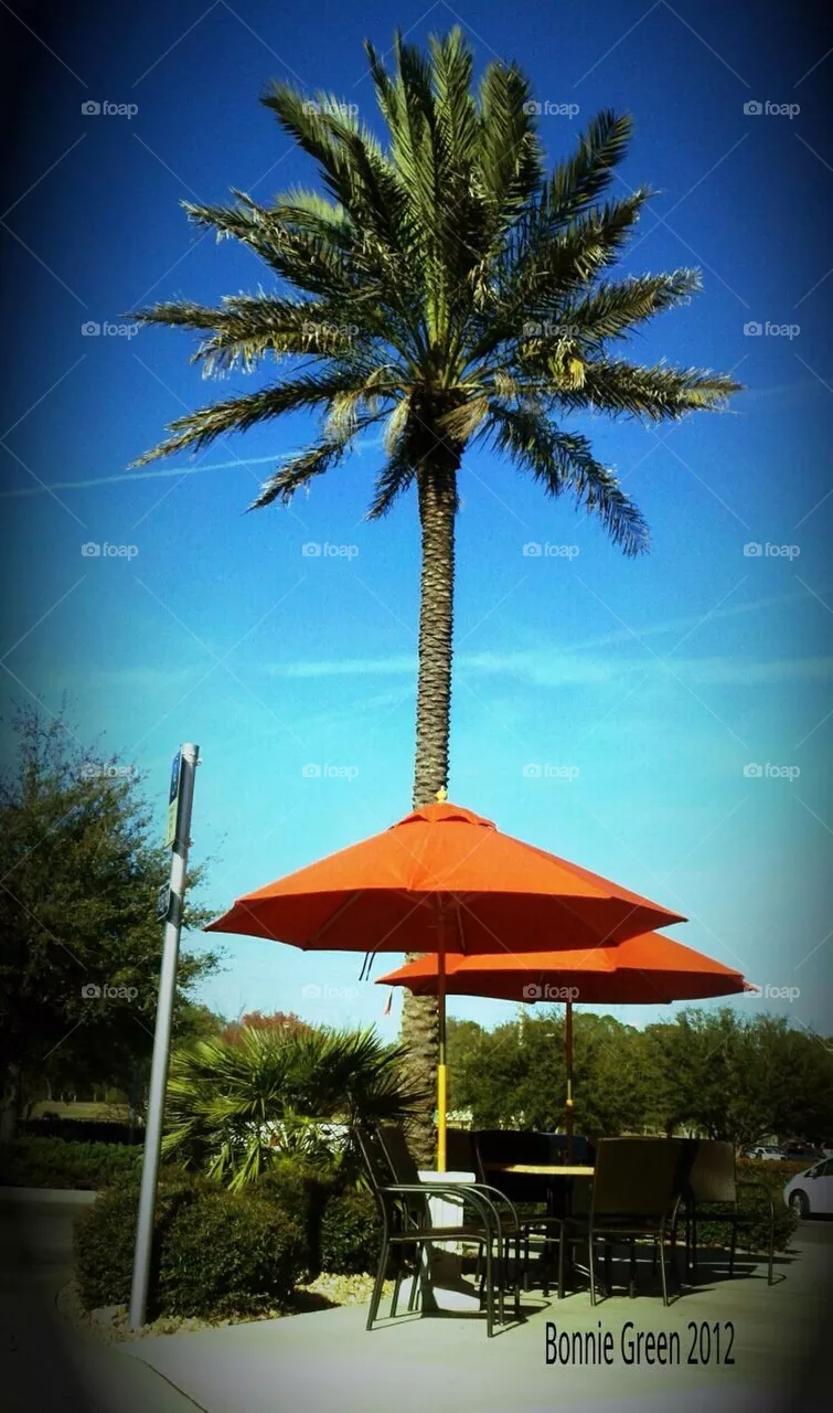 Cabana