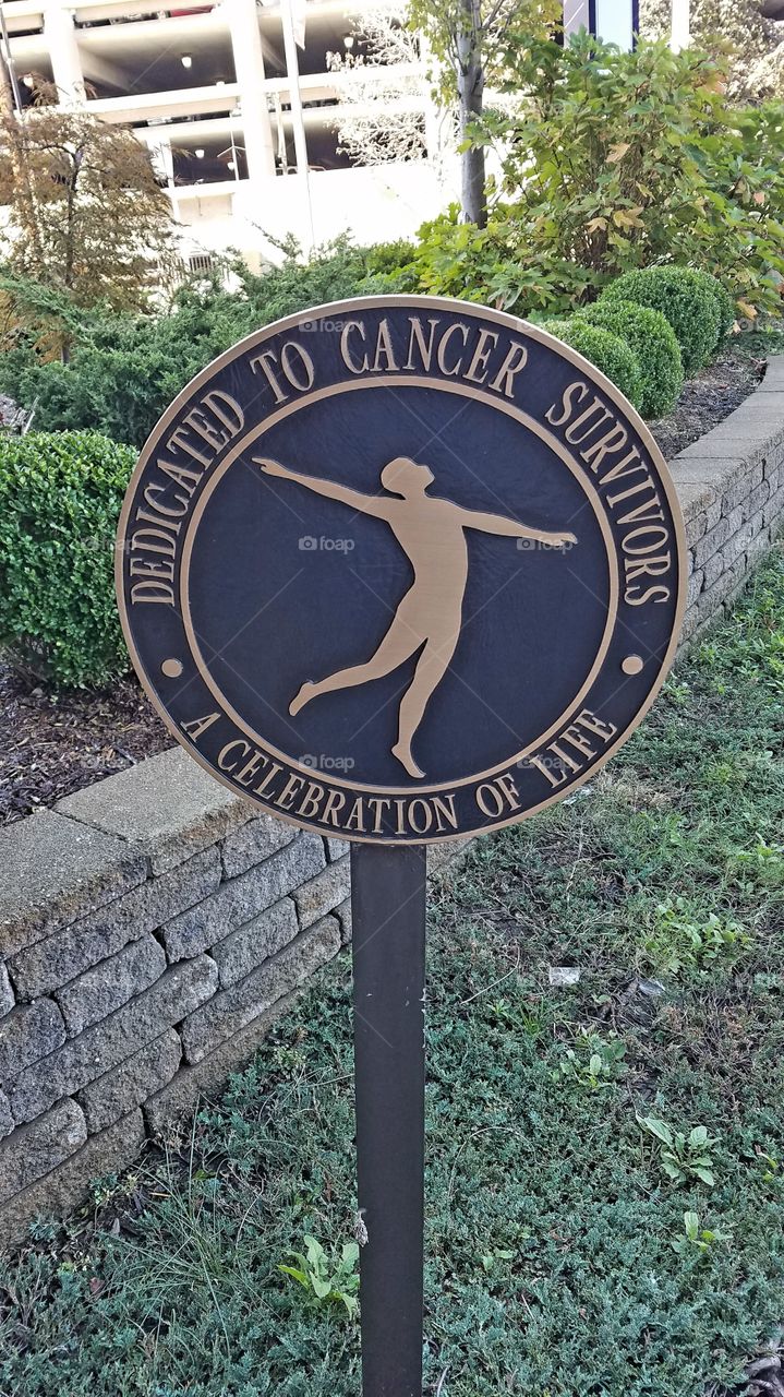 Cancer awareness statue