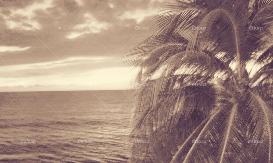 Nostalgic tropical view.