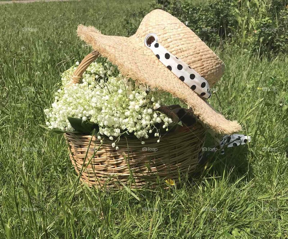 Basket of lilies of the valley