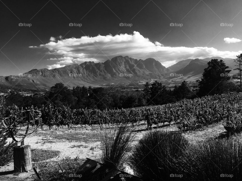 Mountains in Franschhoek, South Africa