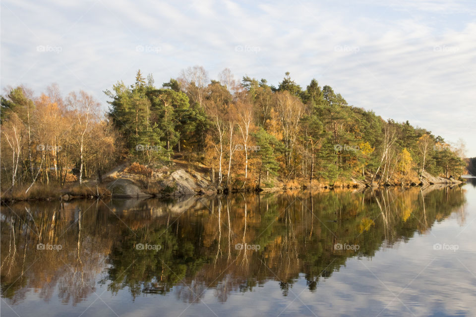 Forest reflections - autumn 