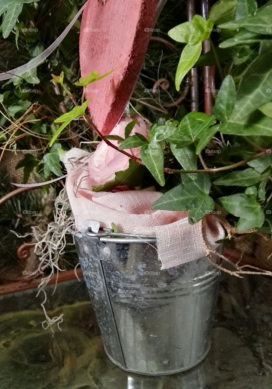 flower in pot