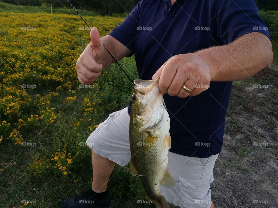 A man holding a large mouth bass with a thumbs up on a summer day