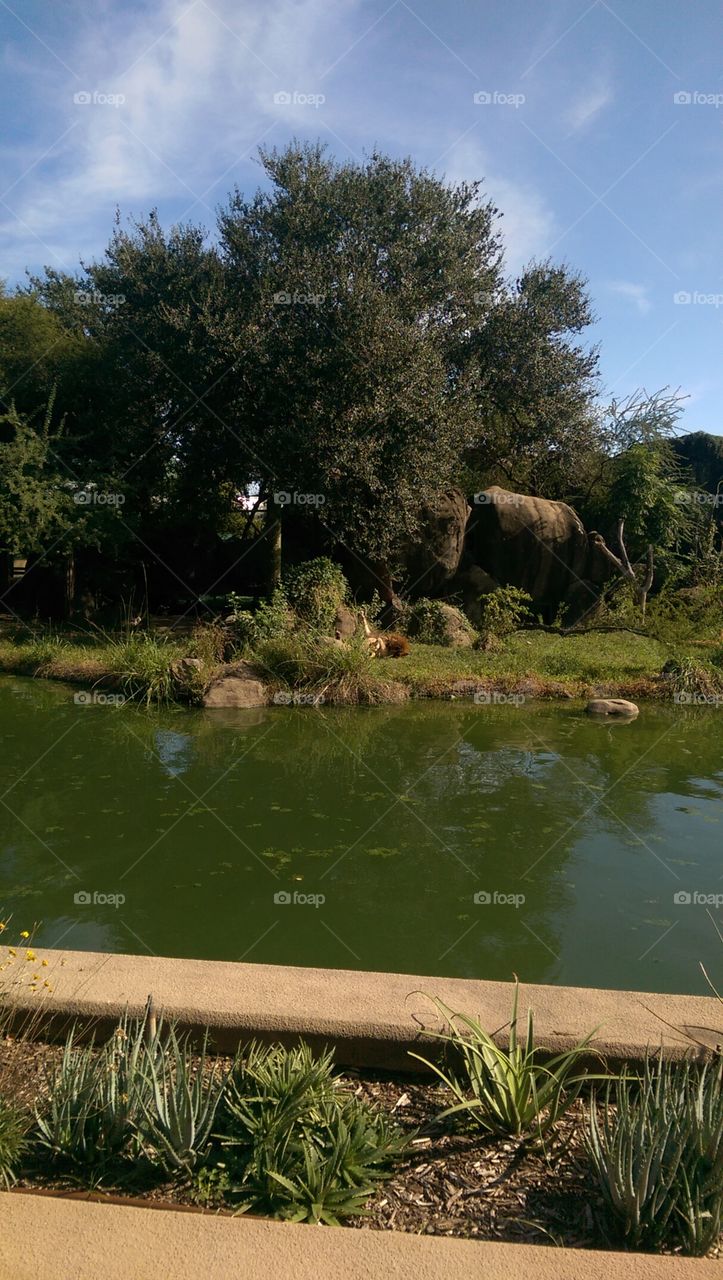 Water, No Person, Landscape, Nature, Travel