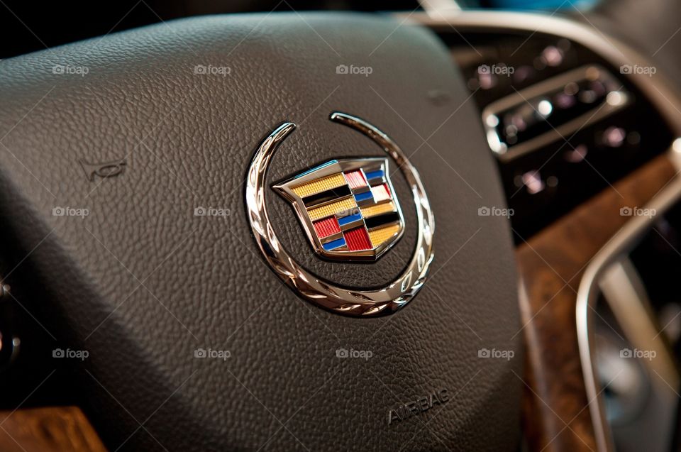 Cadillac symbol from 2010 cadillac steering wheel. 