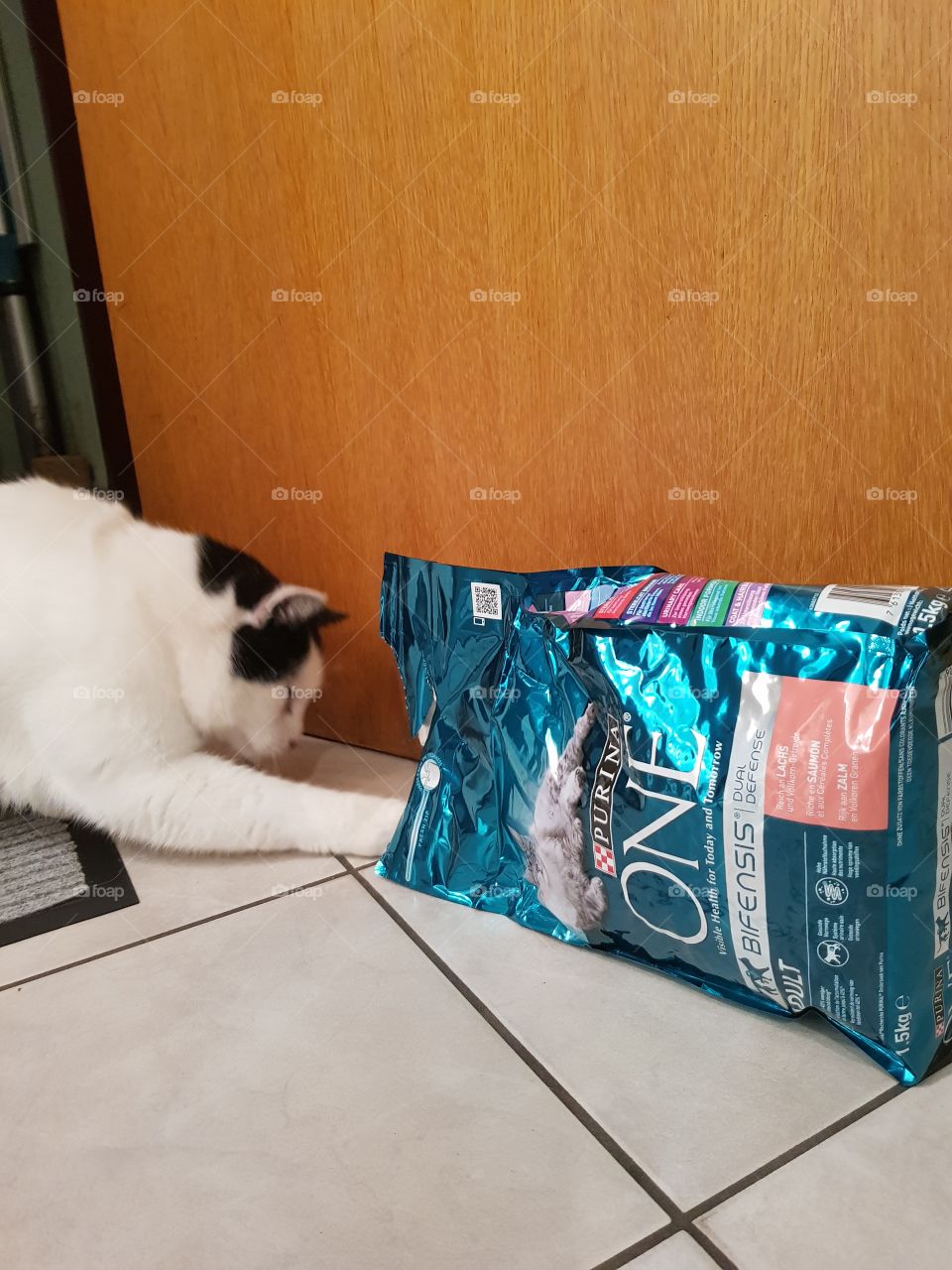 purina ONE cat eats cat food out of  bag