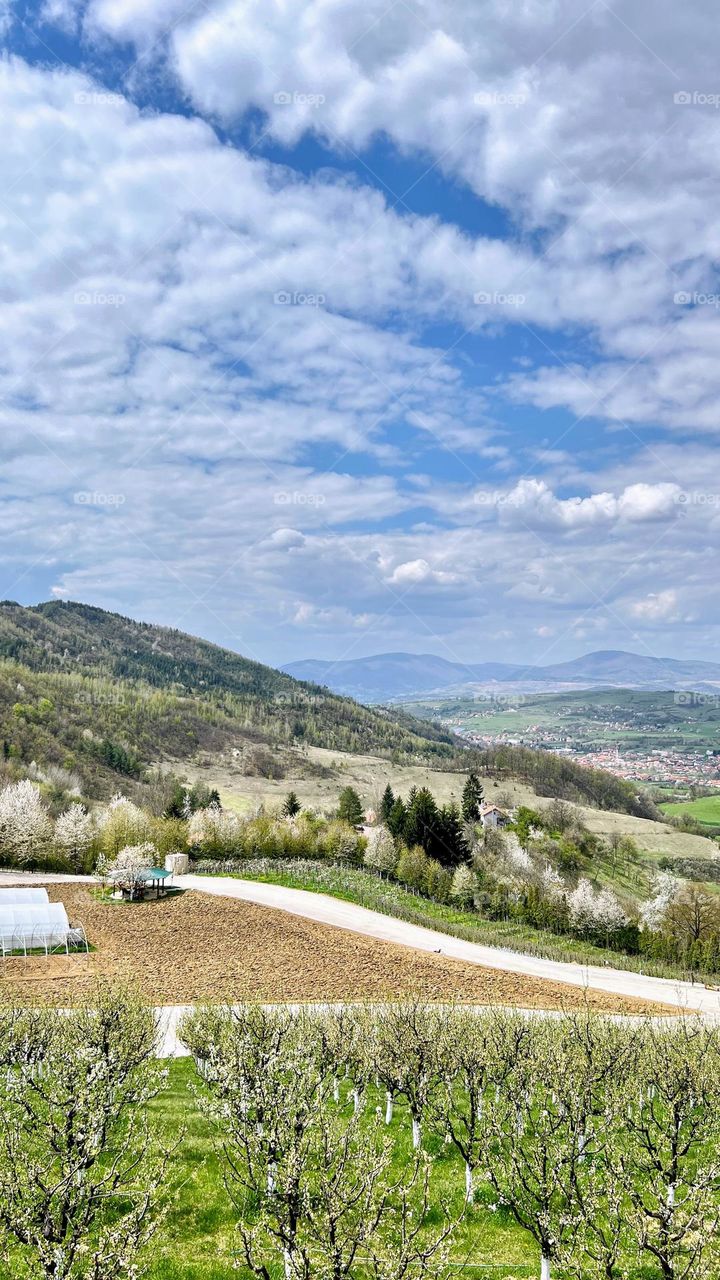 The view from the hill