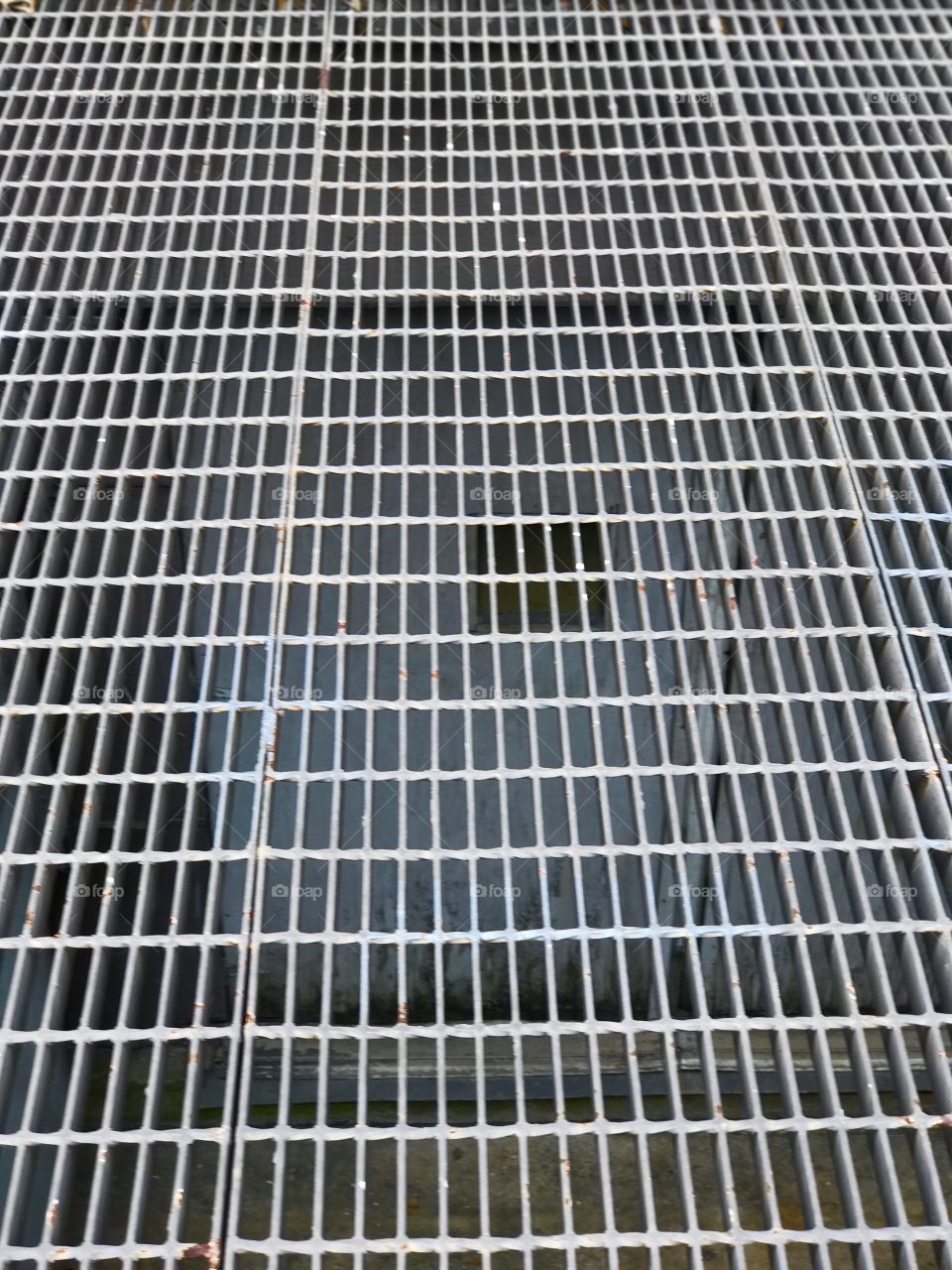 Door Behind The Grate