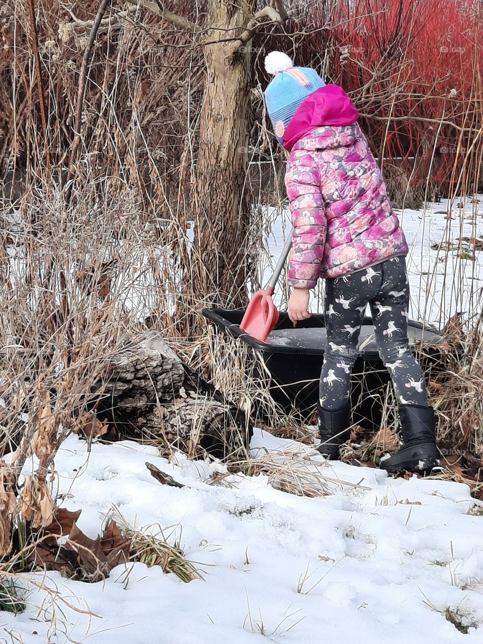 litlle girl investigating turning water into ice