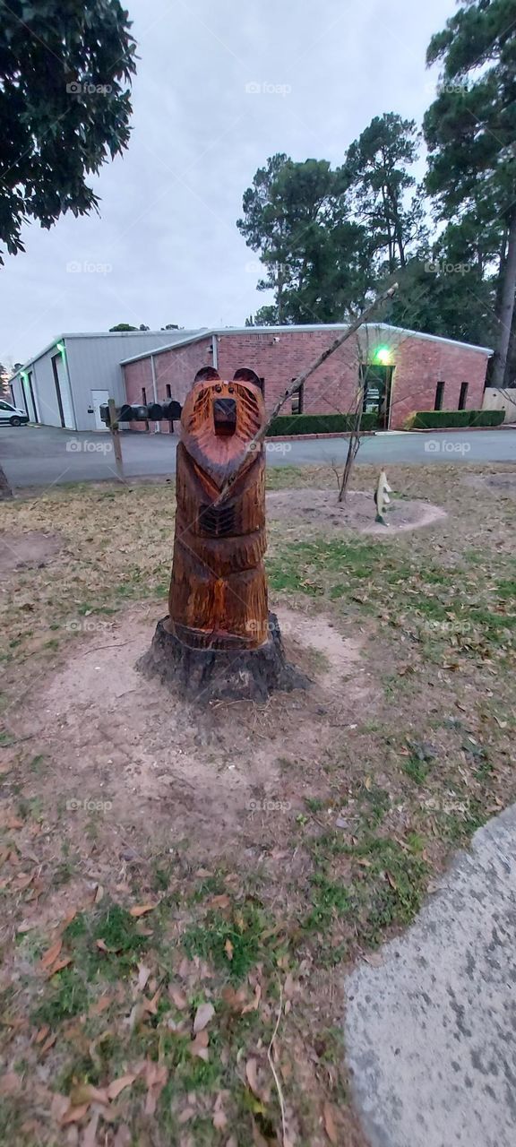 A Chiseled Bear,not Build a Bear 🐻! 😀!!