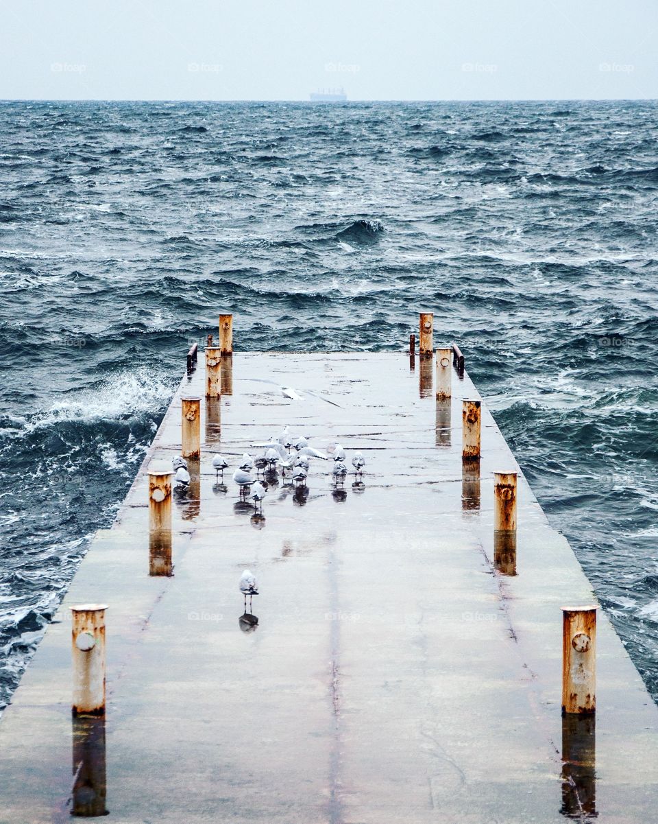 Seagulls on a pier in stormy sea