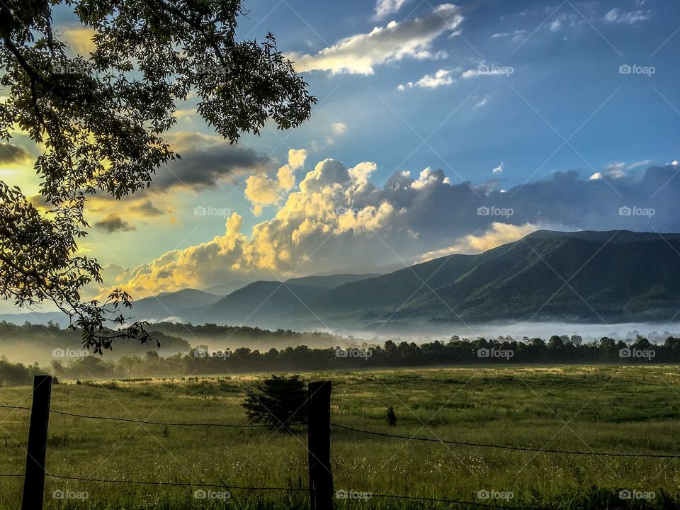 Fog in Cades Cove