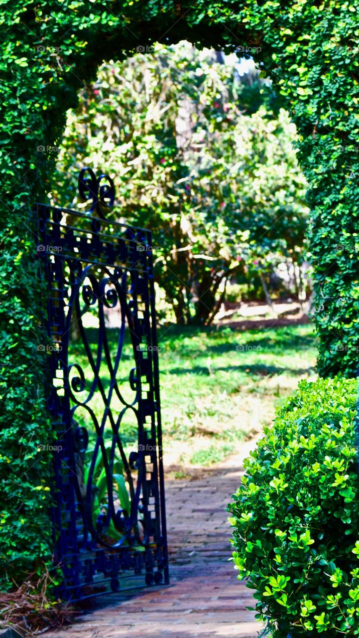 Gate to Garden