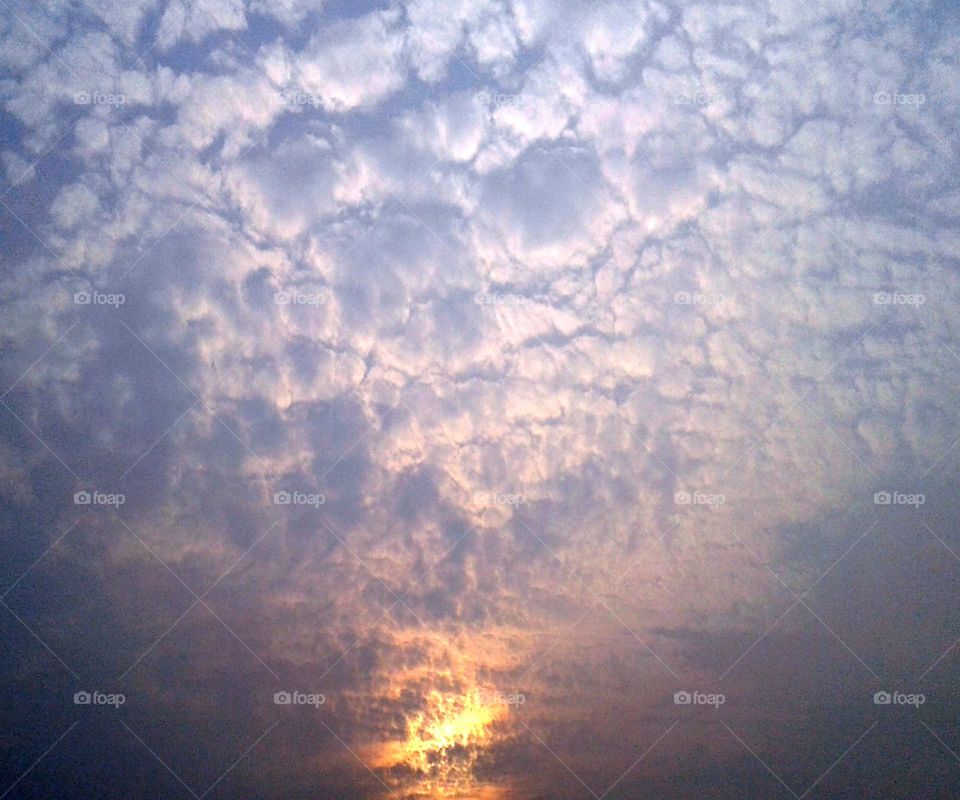 Cloud flower is very beautiful