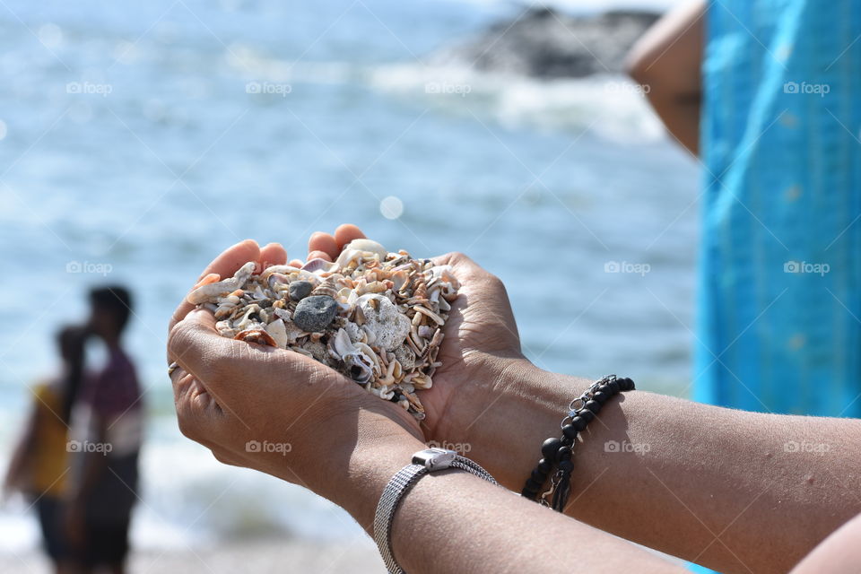 Memories of collecting sea shells in the summer!