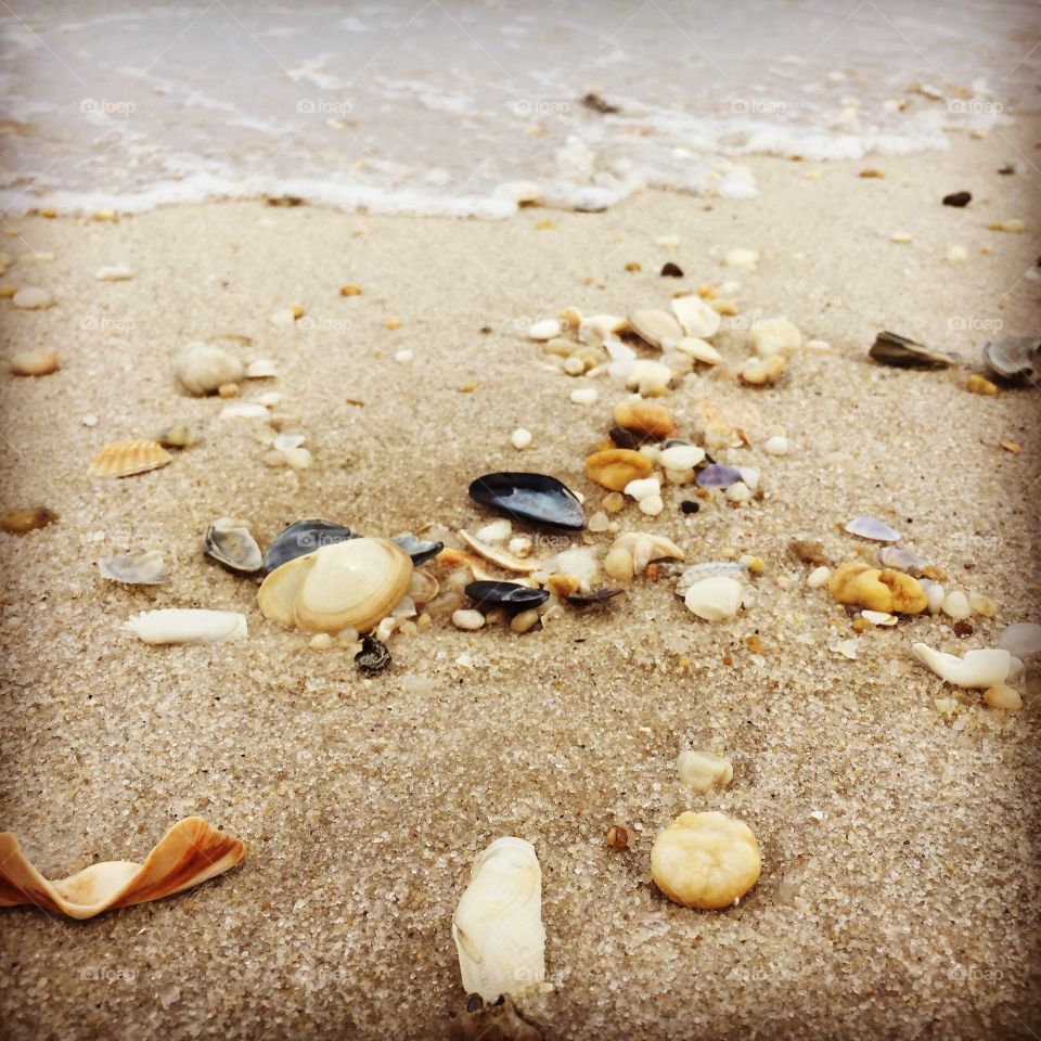 Sea shells by the sea shore. A nice weekend, including great friends, awesome conversation, and of course long walks on the beach. 