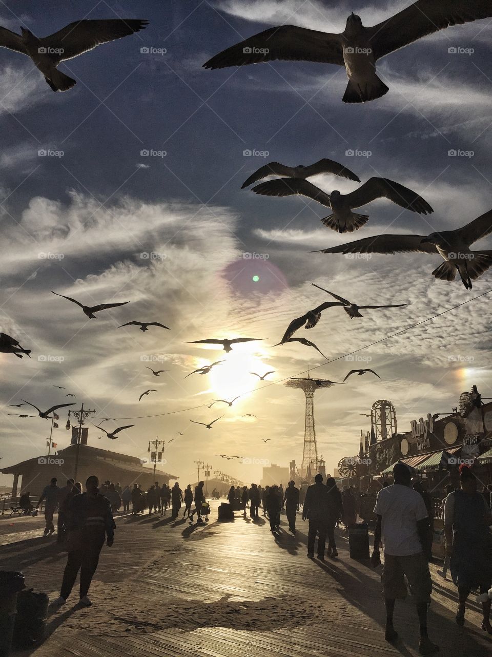 Flight of the Gulls. End of summer on the Coney Island Boardwalk